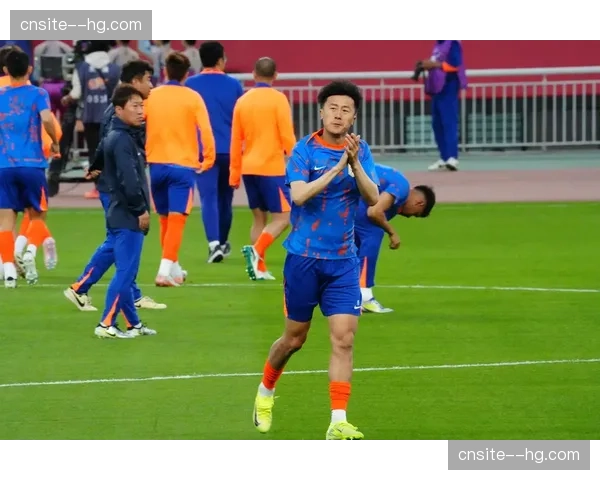 泰山刘洋腰部撞击伤未愈 白细胞指标异常推迟复出时间