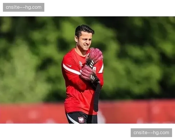 西汉姆联门将法比安斯基腰部旧伤 门线反应速度受影响